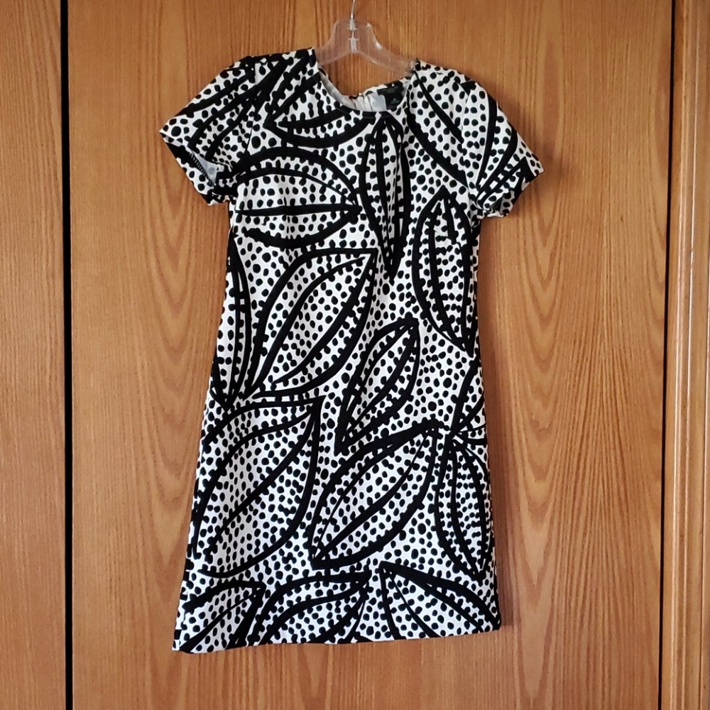 Ann Taylor Dress